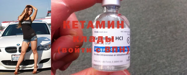 прущие грибы Вязники