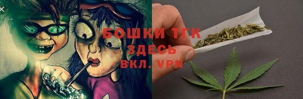 прущие грибы Вязники