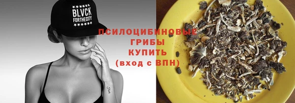 apvp Вяземский