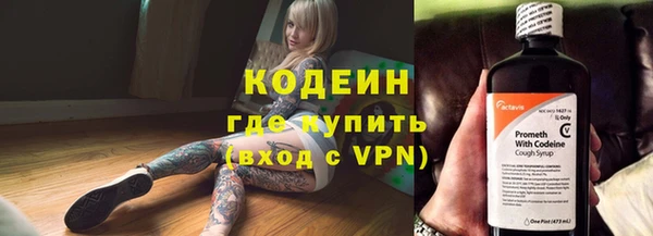 прущие грибы Вязники