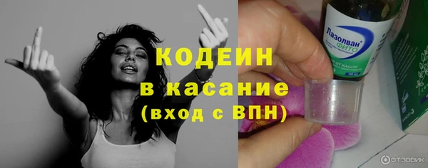 apvp Вяземский