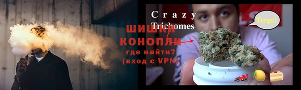 сатива Вязьма