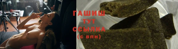 сатива Вязьма
