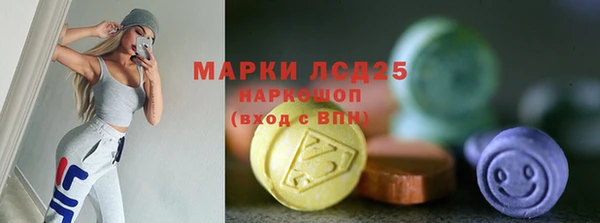 apvp Вяземский