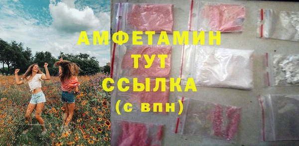 прущие грибы Вязники