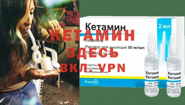 сатива Вязьма