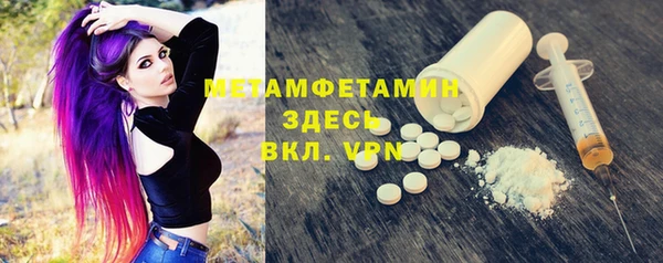прущие грибы Вязники