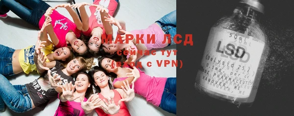 мяу мяу мука Кулебаки