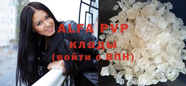 прущие грибы Вязники